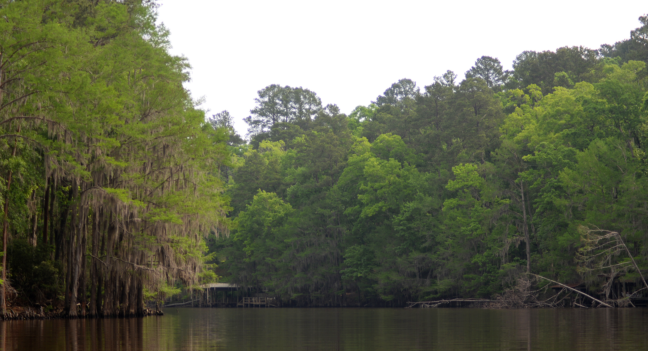 Genuine cypress-lined Big Cypress Bayou in Caddo Lake State Park, Texas; archival April 2017 photograph, not the October 2026 hike.