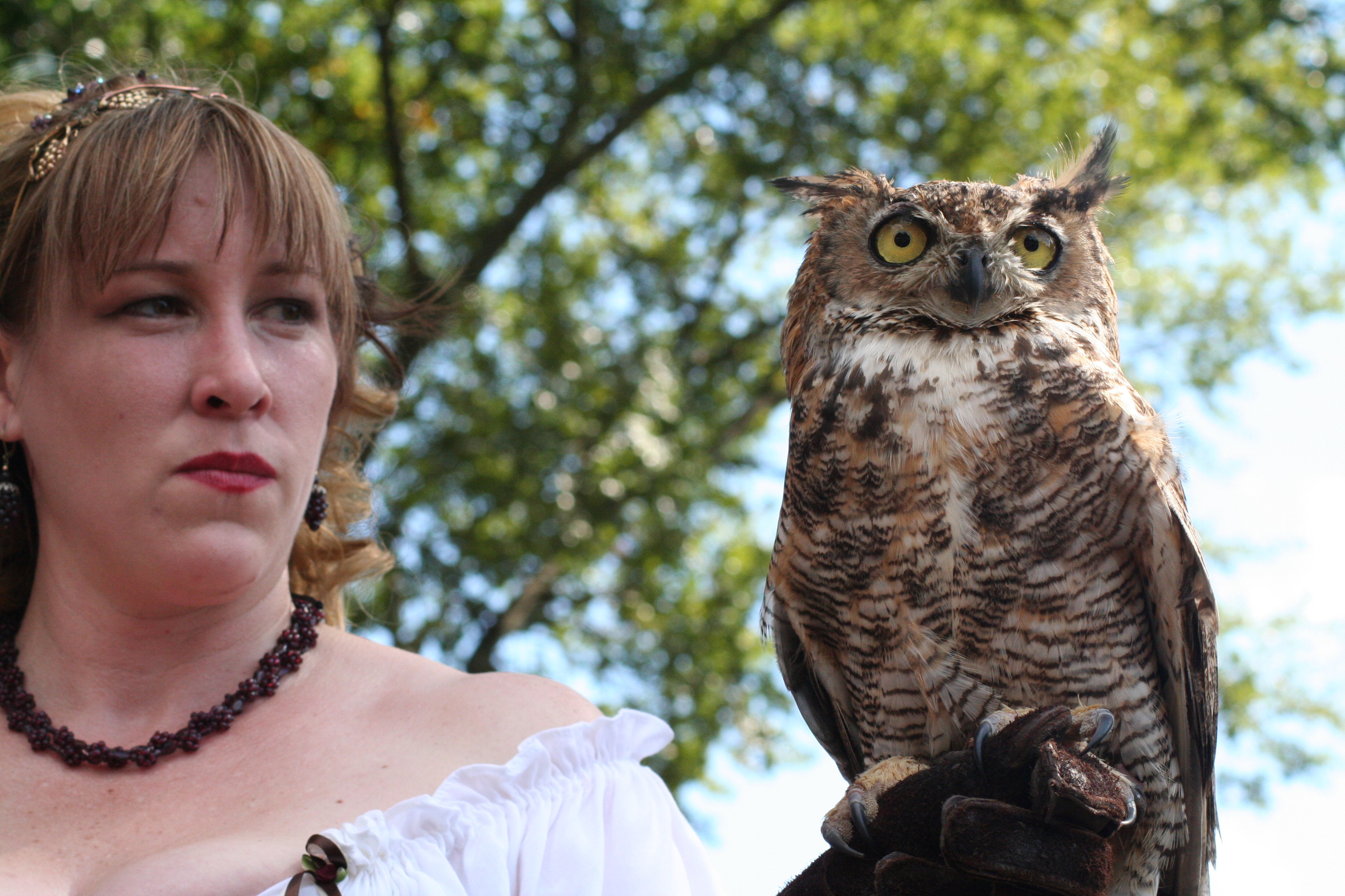 Authentic photograph of a bird-of-prey presentation at the Texas Renaissance Festival in Todd Mission, Texas.