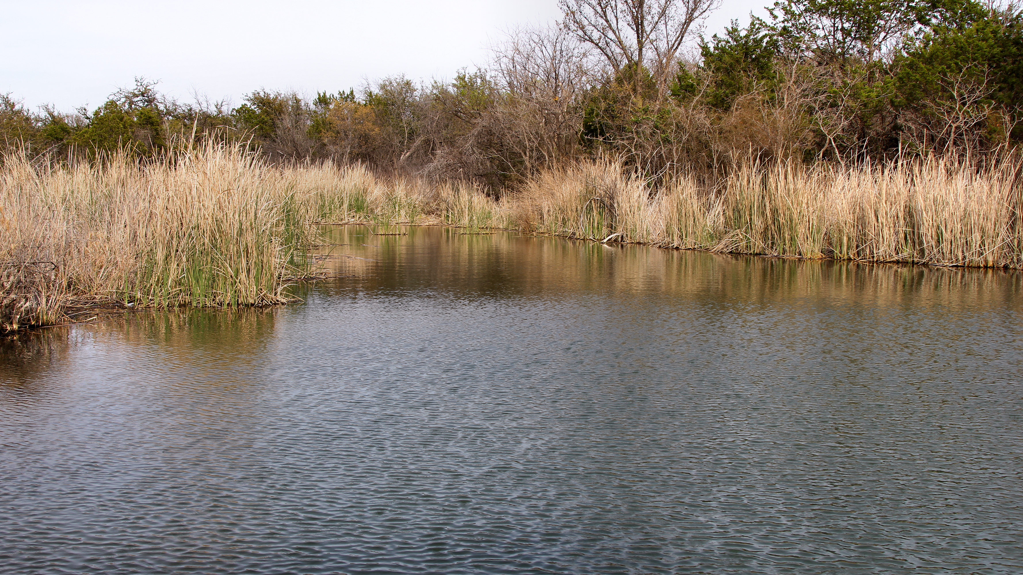 Actual spring-fed Buffalo Wallow pond in Abilene State Park photographed March 2023; real venue area, NOT a picture of the October 24 2026 Skins and Skulls event.