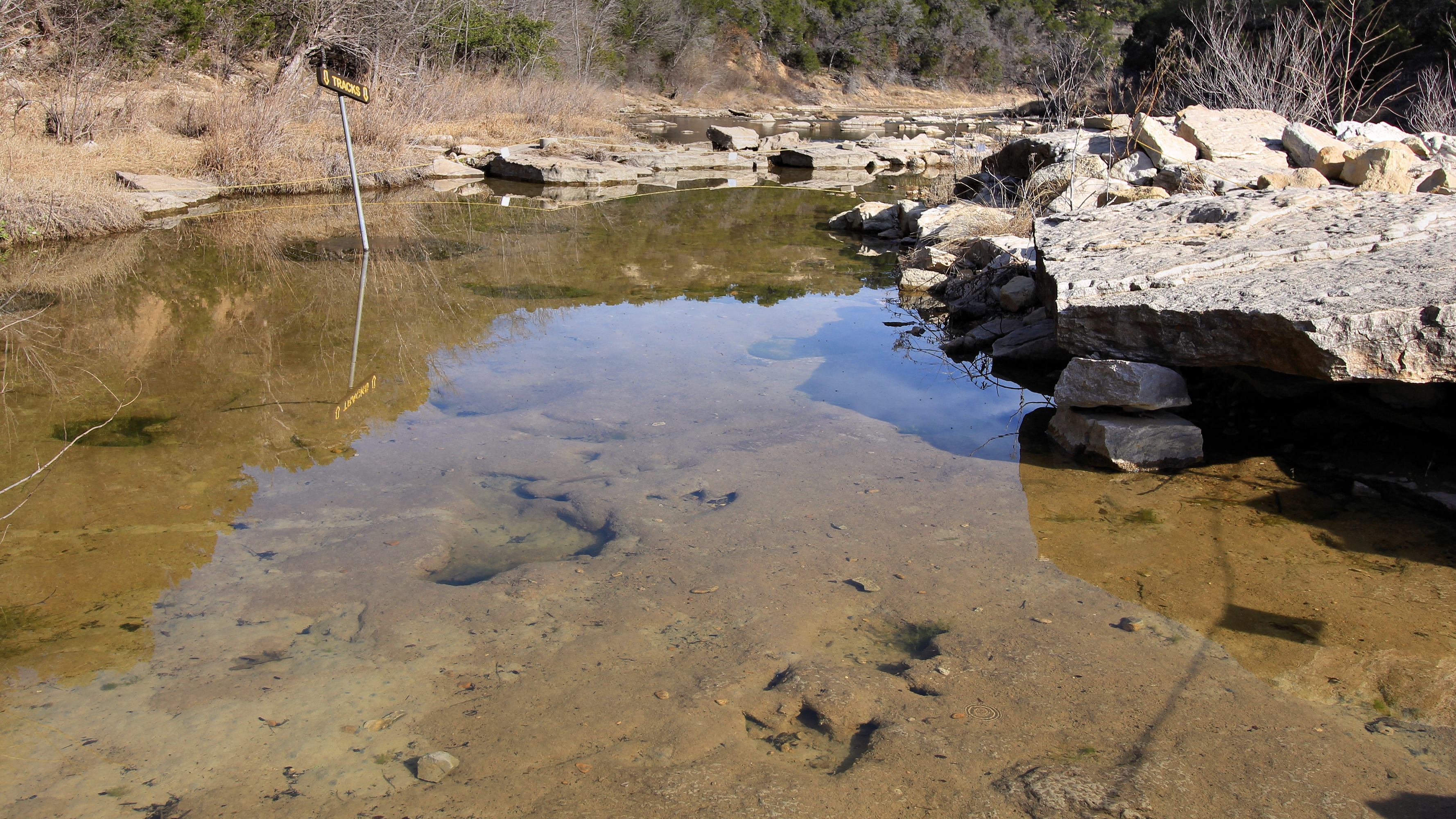 Actual Main Track Site at Dinosaur Valley State Park near Glen Rose, Texas, in 2023; NOT the canceled Taylor Site ranger hike.