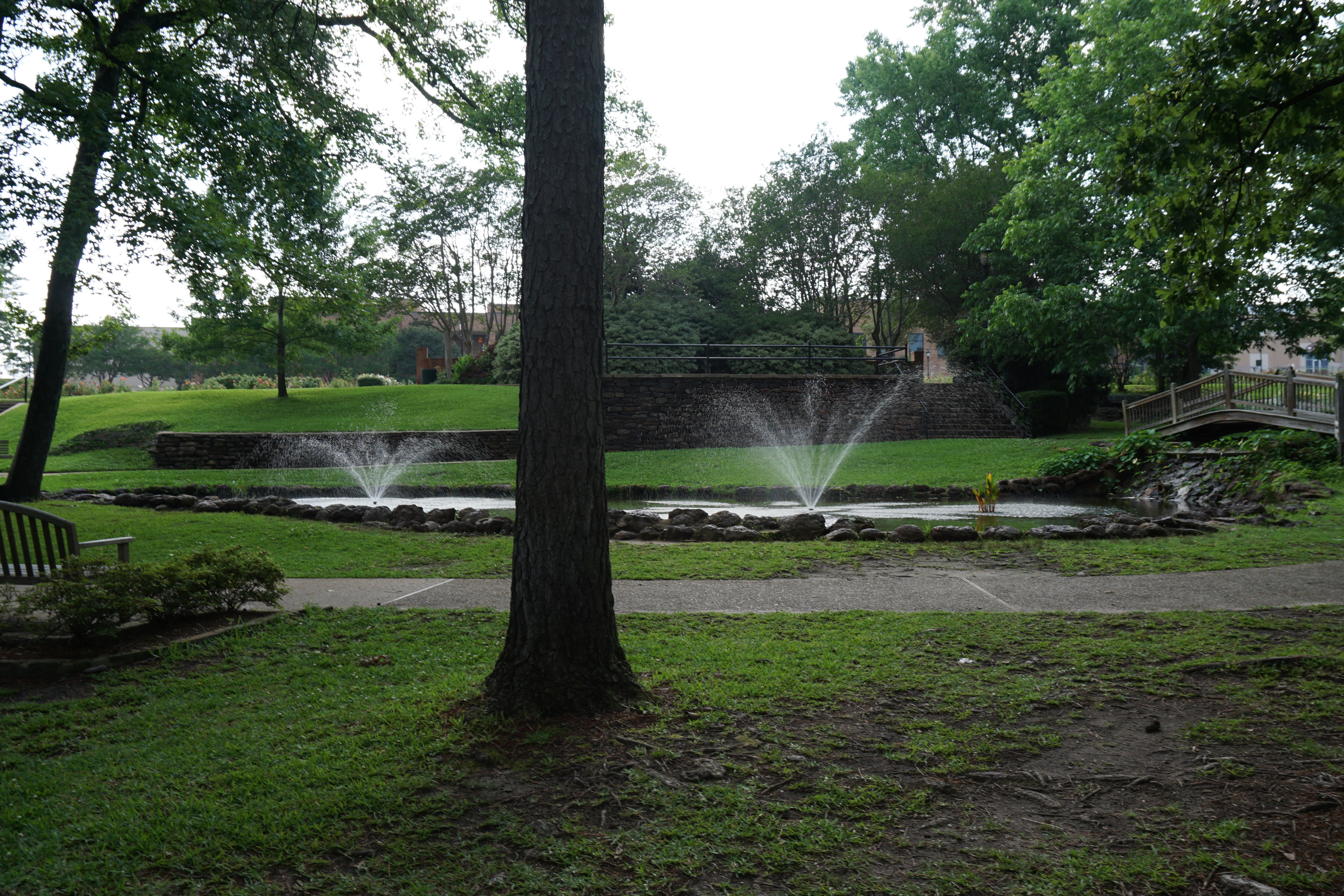 Actual Tyler Municipal Rose Garden landscaping and flower beds in Texas