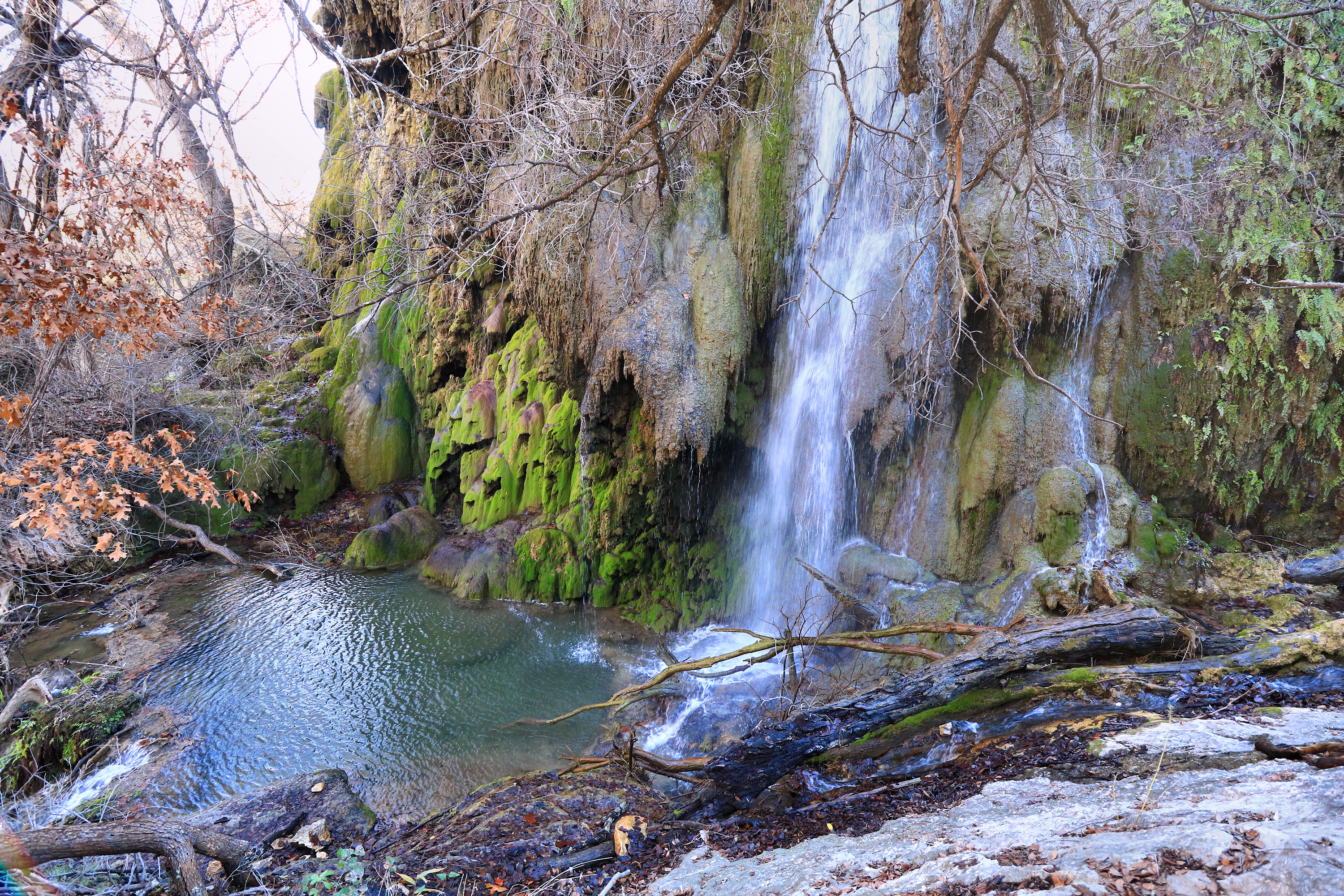 The real Gorman Falls waterfall cascading over mossy rock in Colorado Bend State Park, Texas.